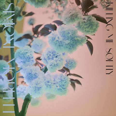 Killing Me Softly album art
