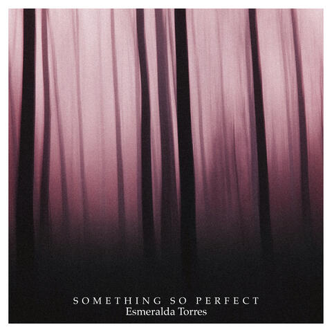 Something so perfect album art