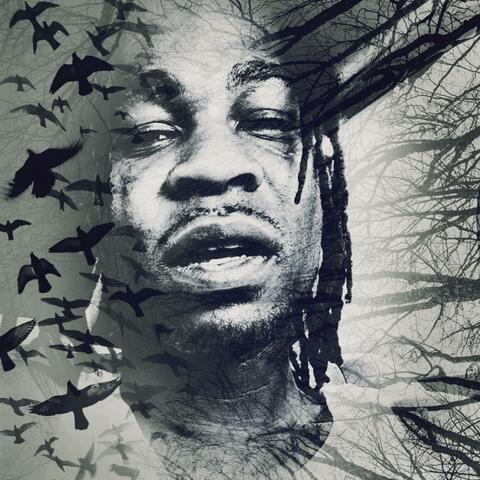 Too Crazy album art
