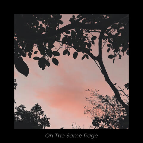 On The Same Page album art