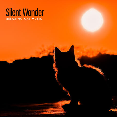 Silent Wonder album art