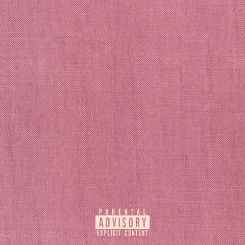 SPRING LOVES PINK mixtape album art