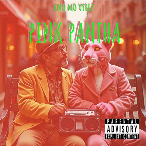 Pink Pantha album art