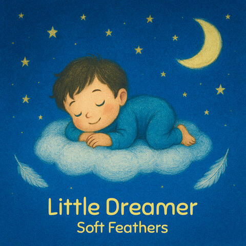 Soft Feathers album art