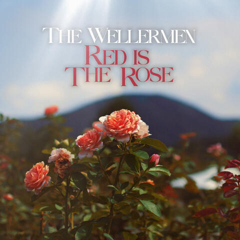 Red Is The Rose album art