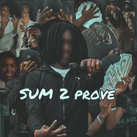 Sum 2 Prove album art