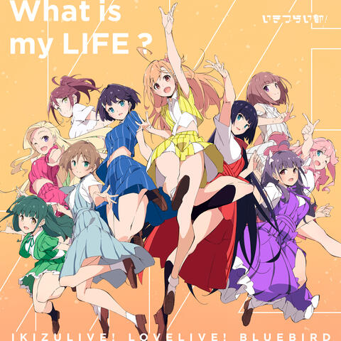 What is my LIFE? album art