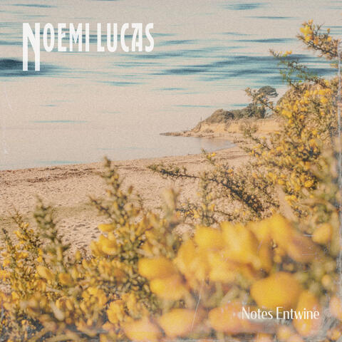 Notes Entwine album art