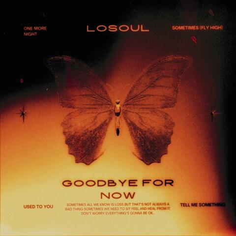 Goodbye For Now album art
