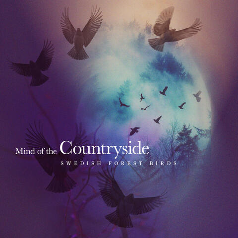 Mind of the Countryside album art