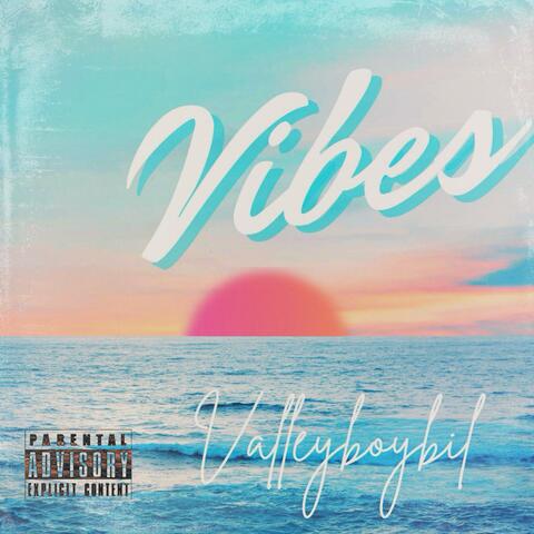 Vibes album art