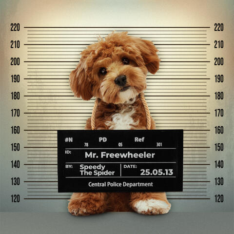 Mr. Freewheeler album art