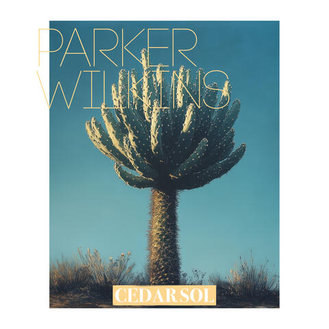 Cedar Sol album art