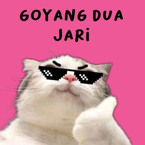Goyang Dua Jari album art