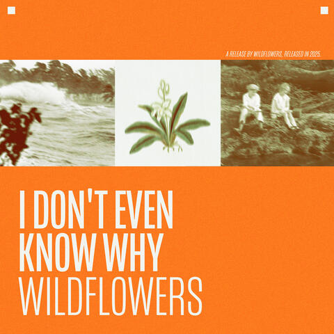 I Don't Even Know Why album art