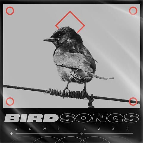 Bird Songs album art
