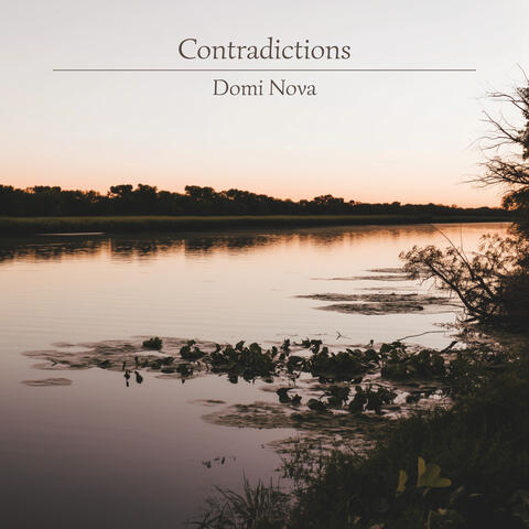 Contradictions album art