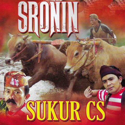 Sronin Sukur Cs album art