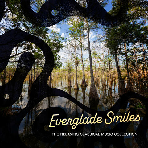Everglade Smiles album art