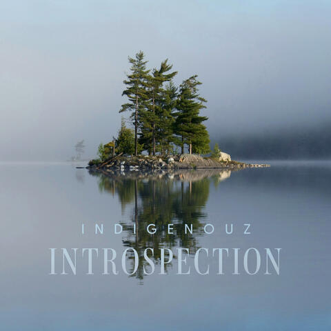 Introspection album art