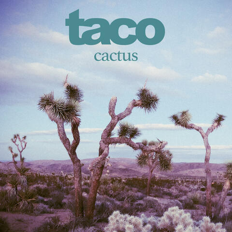 cactus album art