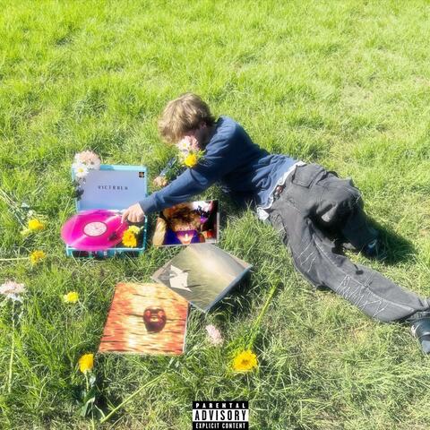 Wildflower album art