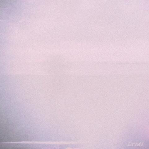 ErMi album art