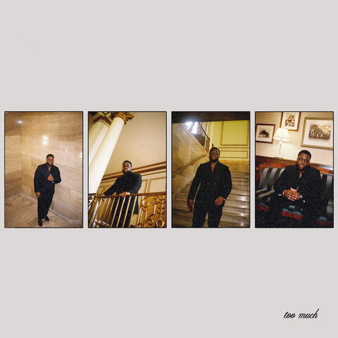 Too Much album art