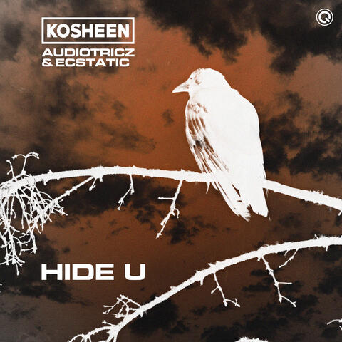 Hide U album art