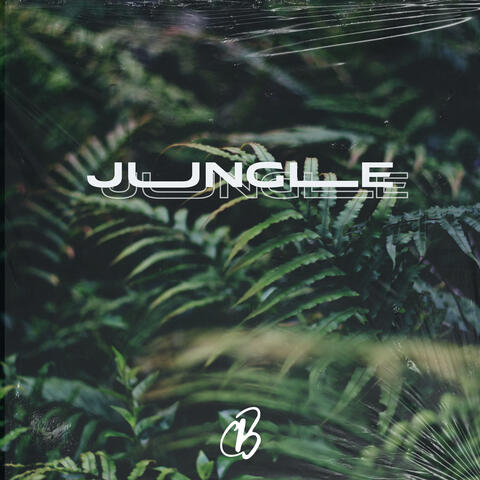 Jungle album art