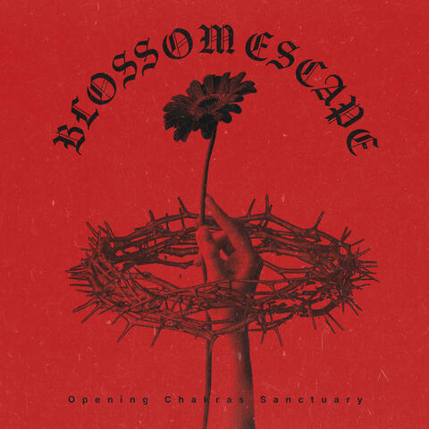 Blossom Escape album art