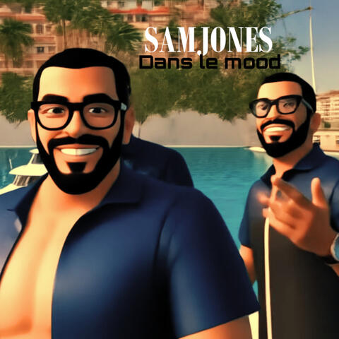 Dans le mood album art