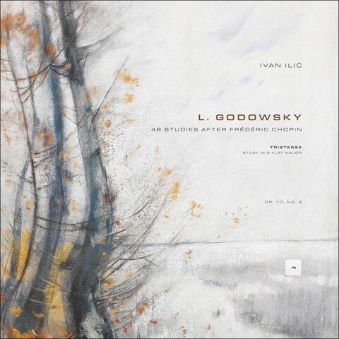 48 Studies after Frédéric Chopin: 5. Study in D-Flat Major after Op. 10, No. 3 'Tristesse' album art