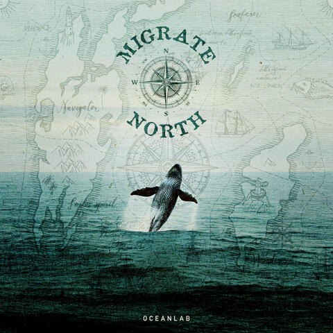 Migrate North album art