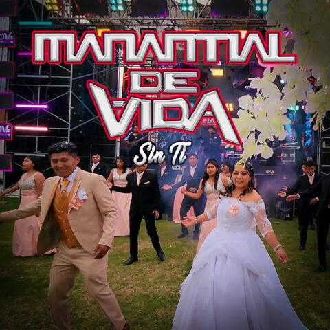 Sin ti album art