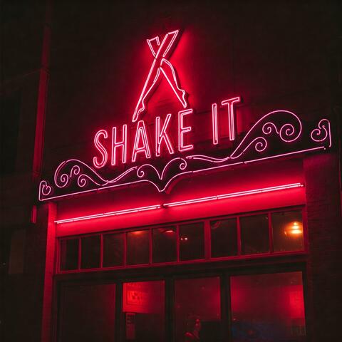 Shake It album art