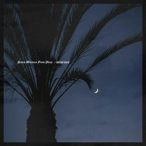 Nurture 528 Hz album art