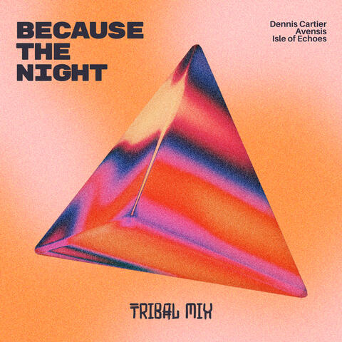 Because The Night album art