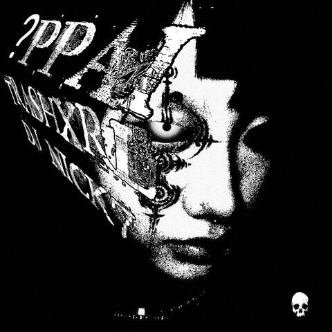 ?PPAI album art