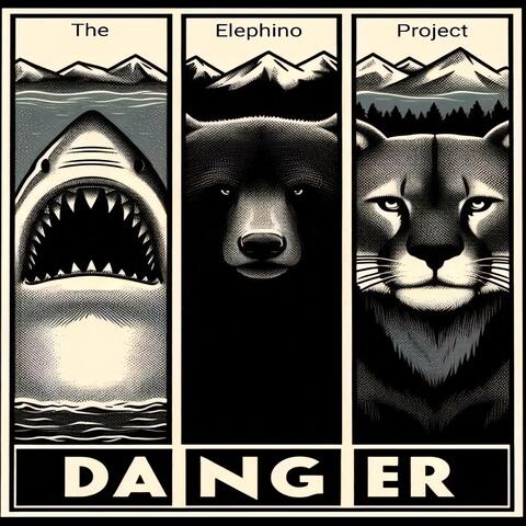 DANGER album art