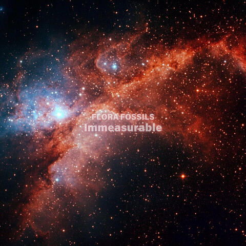 Immeasurable album art