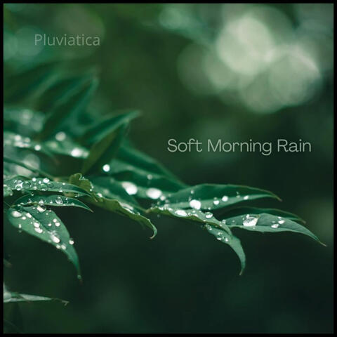 Soft Morning Rain album art