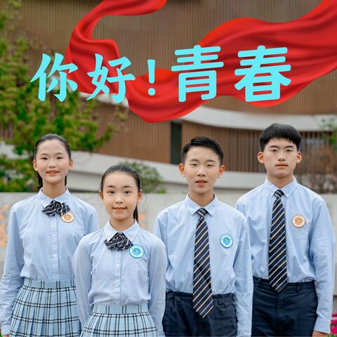 你好!青春 (江蘇省淮陰中學新城校區"青春禮"原創主題曲) album art