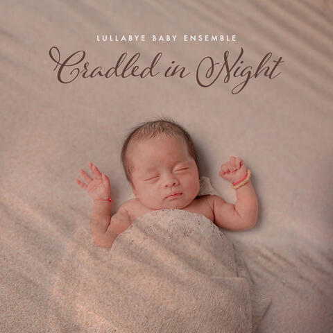 Cradled in Night album art