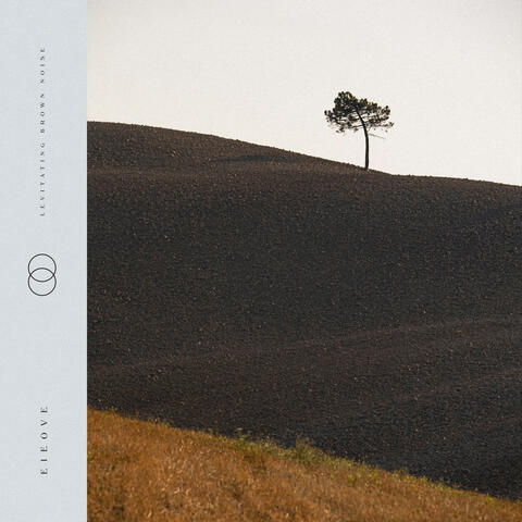 Levitating Brown Noise album art