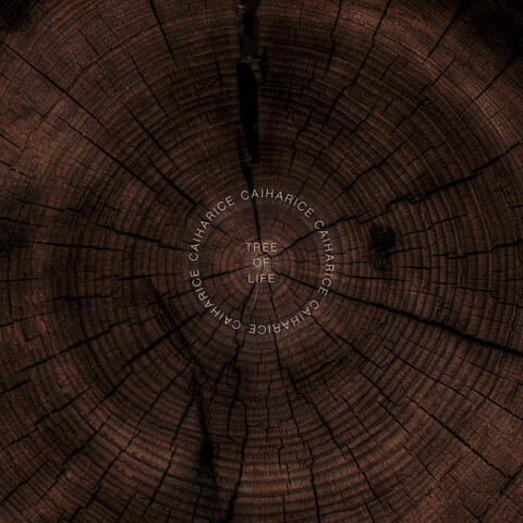 Tree of Life album art