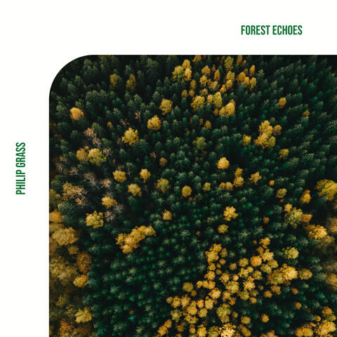 Forest Echoes album art