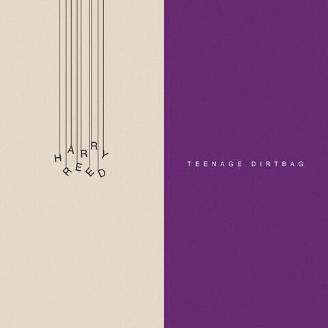Teenage Dirtbag album art