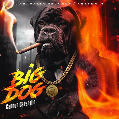 Big Dog album art