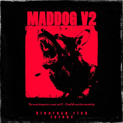 Mad dog V2 album art